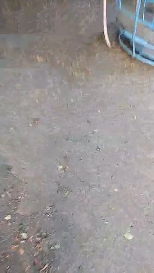 06-08-2026