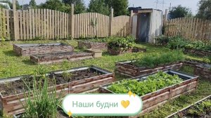 Моя дача🏡 Собрала урожай🍅 ДР Ариши🥳
