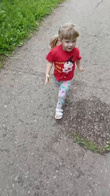 лето ,природа