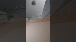1000010169.mp4