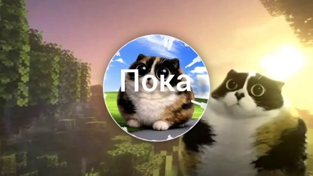 Будет 13 сходка