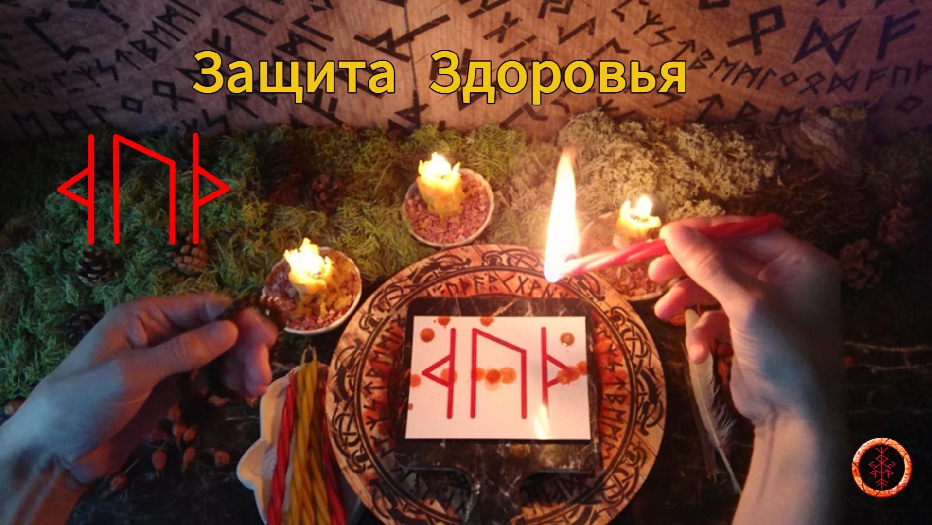 Защита Здоровья от Чужеродных Воздействий