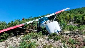 Холод, звери и три конфеты: как летчики самолета Cessna 182 выживали в сибирской тайге?