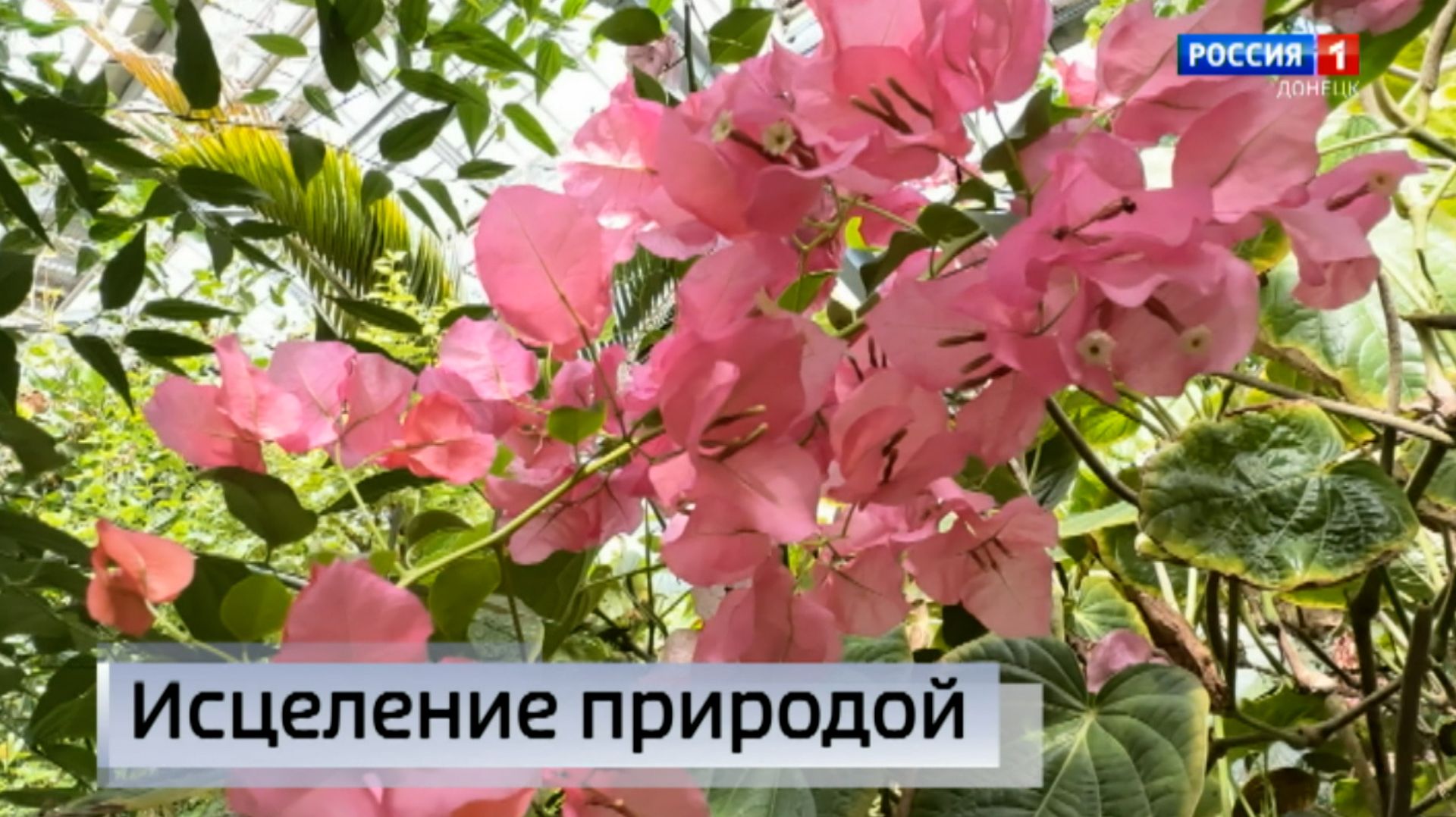 Исцеление природой