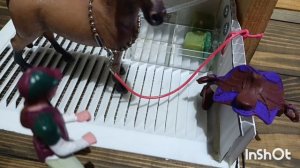 тренировка Карины и Венеры 💗🐎💗🐴❤️
с небольшим фотосетом 🥰