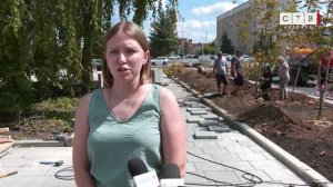 В сквере им. Юрия Романенко высаживают трехметровые каштаны