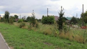 До ливня. Ливень. После ливня и закат