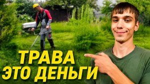 Покос травы ТРИММЕРОМ - Сколько заработал?