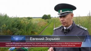 Экспертное мнение. Выпуск 156.