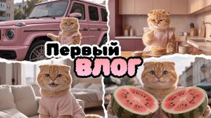Первый ВЛОГ кошки-блогера | Проснушки, потягушки, покатушки