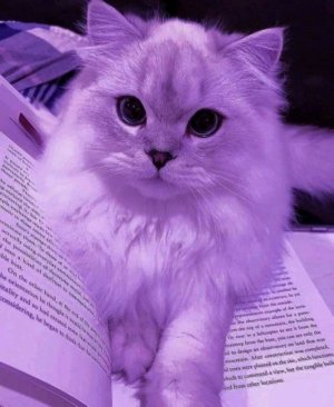 Как проходит утро у меня