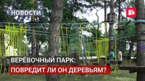 Веревочный аттракцион: под нагрузкой деревья на набережной. Новости.06/08/2026. GuberniaTV