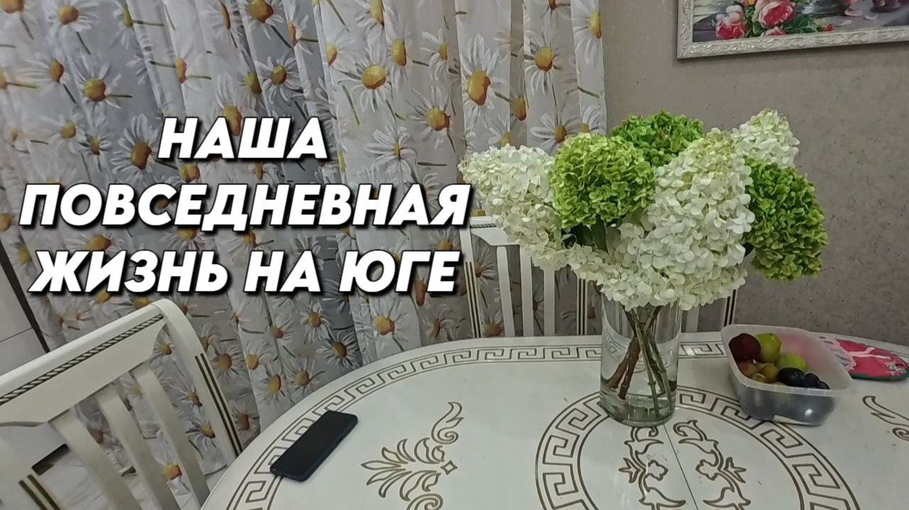 1193 Жизнь семьи/Домашние хлопоты/Живём на юге