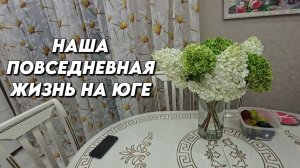 1193 Жизнь семьи/Домашние хлопоты/Живём на юге
