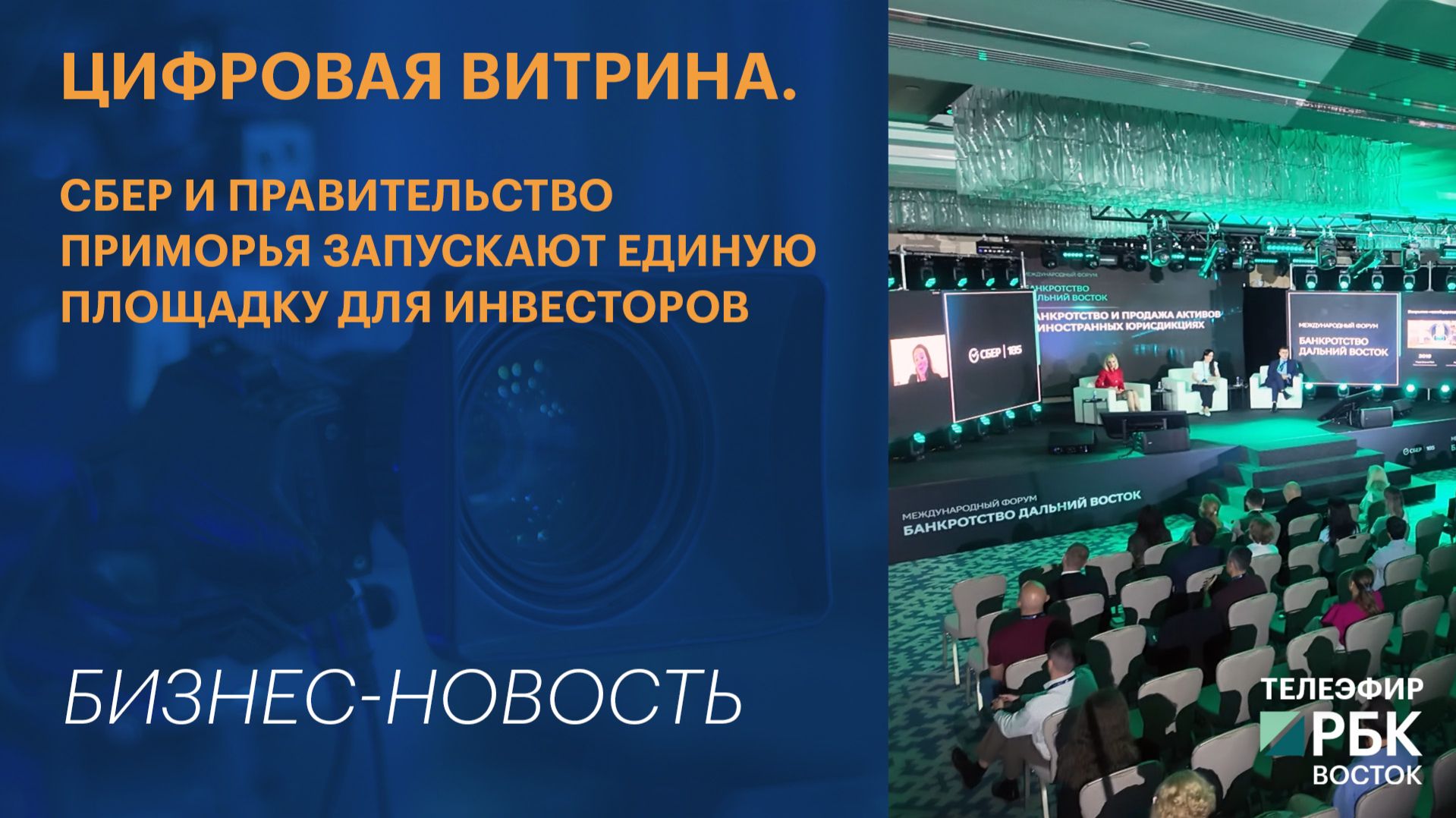 Цифровая витрина. Сбер и Правительство Приморья запускают единую площадку для инвесторов