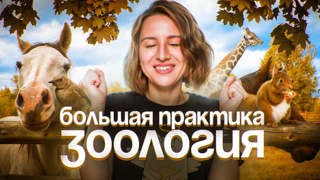 Зоология. Большая практика  ЕГЭ-2025 по биологии