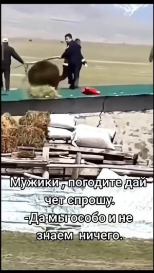 Погоди я спрошу только