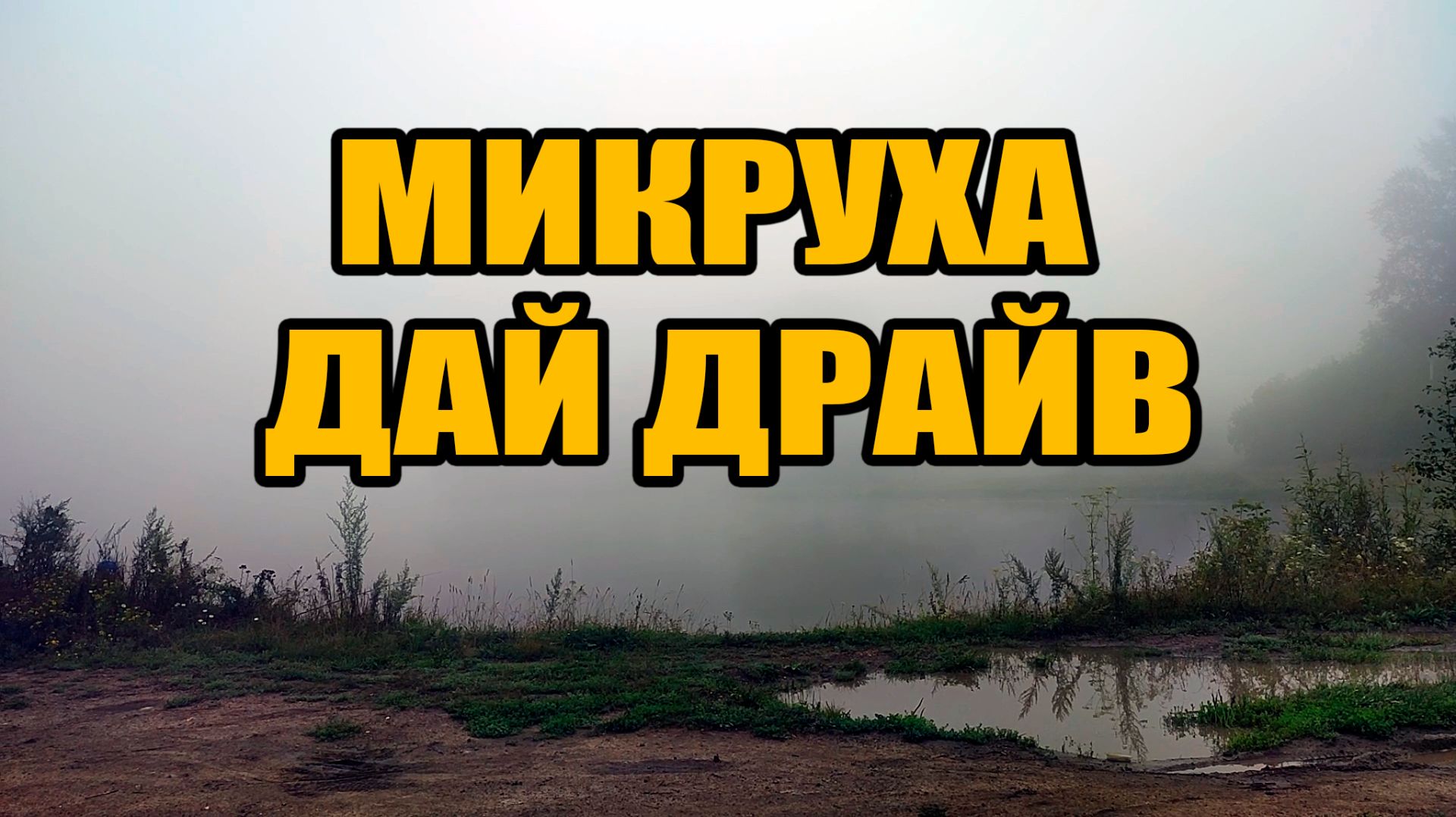 Микруха Дай Драйв!