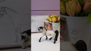 Недовлог, обзор лошадей, рисуночки