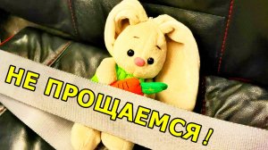 ФИНАЛЬНЫЙ АККОРД ОТПУСКА ✈️. ПРИЗЕМЛИЛИСЬ! МАРШРУТ: САМОЛЕТ—БАГАЖ—ТАКСИ—ДОМ. НОЯБРЬ 2025.