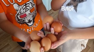 ПОКУПКИ  Второе желание для волшебного домика