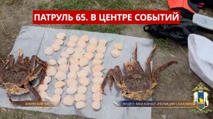 ПАТРУЛЬ 65. Браконьеры с гребешками, скорая сбила  мальчика и срок за пьяную езду. Сахалин 06.08.26