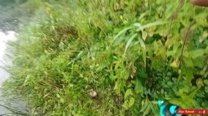 Отличный окушок на вертуху🎣🐠👍🏻