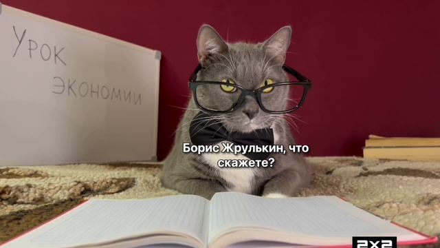 RVA:2010_2x2_kotiynet сейчас будет Camtv