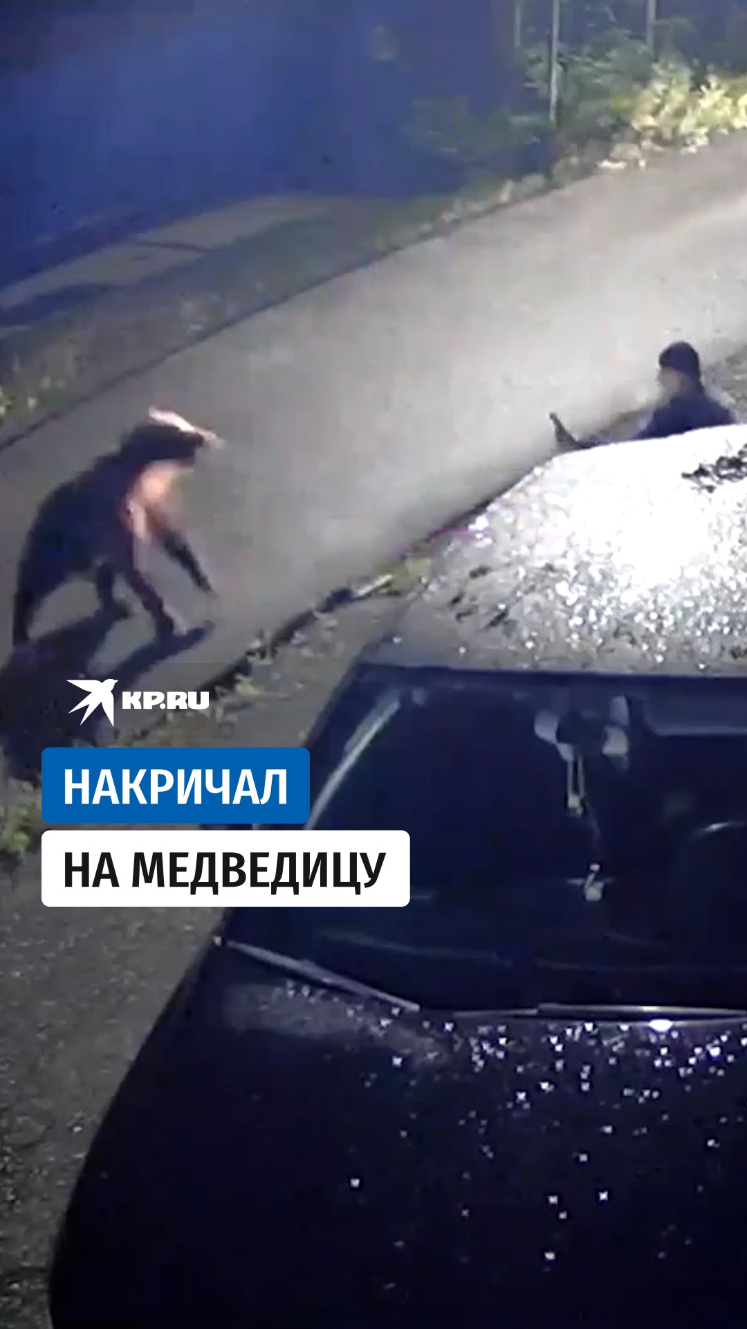 Житель Ивделя накричал на медведицу которая чуть не снесла его