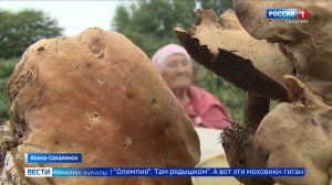 «Вести. Сахалин. Курилы». 5 августа 2026 года