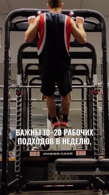 Тренировки для набора мышечной массы для мужчин