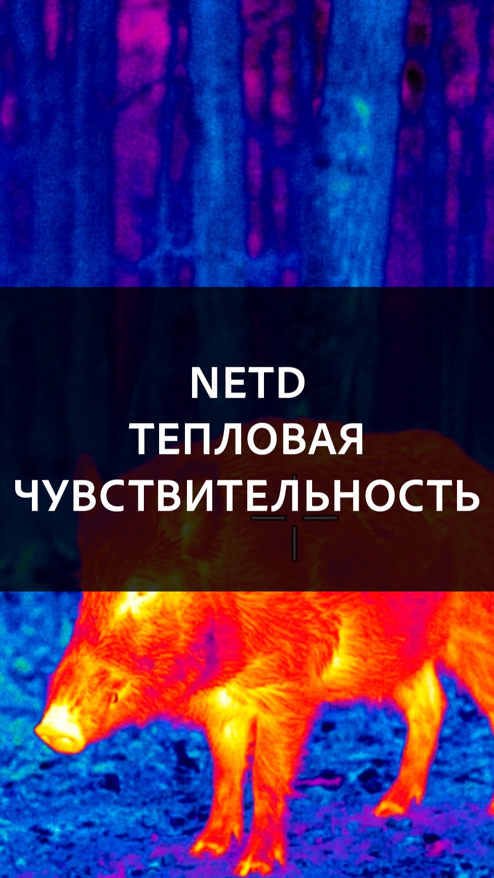 Тепловая чувствительноть NETD