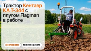 Трактор Кентавр КА Т-344 с плугом Flagman в работе