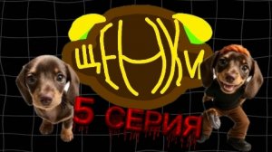 щенки 5серия