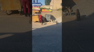 Надо для рутуба 5 минут видео