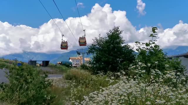 Ромашки и канатная дорога в горах