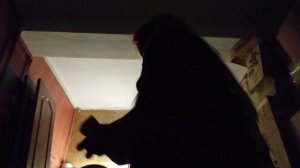 вечерний влог с реборнами