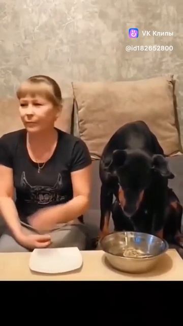 Best Friends 🐕