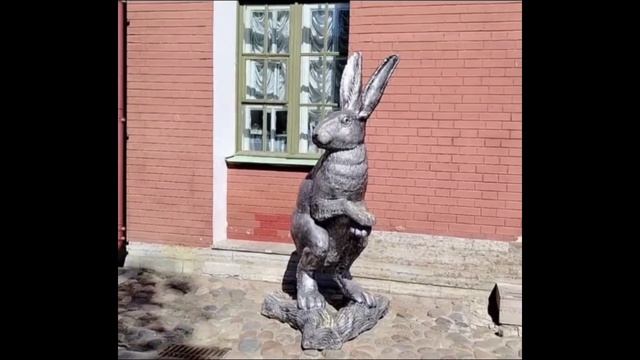 Зайцы с заячьего острова. Санкт-Петербург.