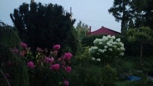 ВСЁ БУДЕТ ЦЕЛО.ГЛАВНОЕ ЗДОРОВЬЕ.ЧТО В ПОСЫЛКЕ?