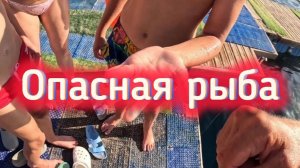 ОПАСНО В КРАСНОМ МОРЕ. МИНУСЫ ЕСТЬ.Sierra Sharm El Sheikh. Отель сети Савой. Обстановка вечером