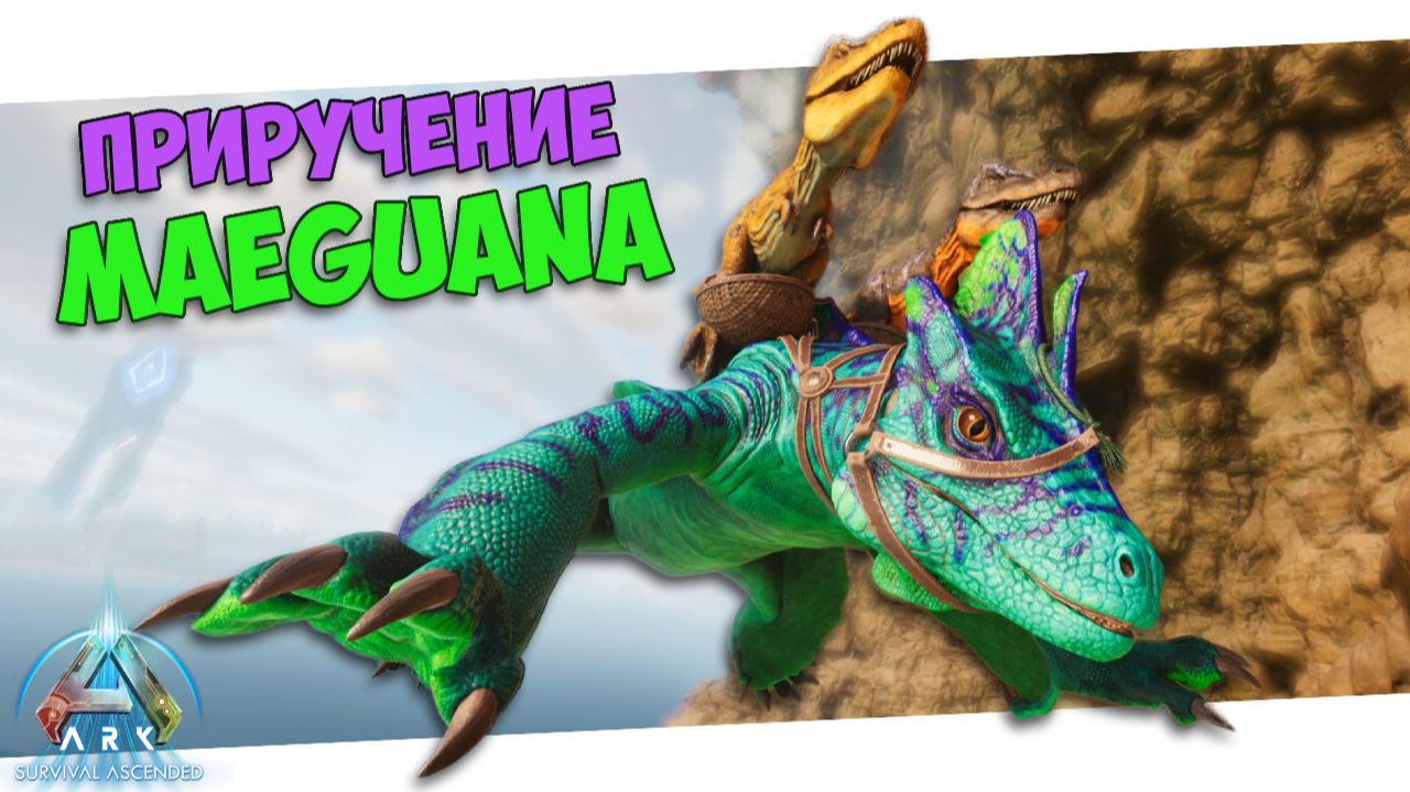 КАК ПРИРУЧИТЬ Maeguana в ARK? Гайд по приручению, обзор и способности