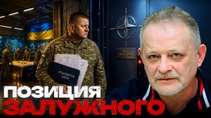 ЗОЛОТАРЕВ Андрей. Дверь в НАТО закрыта? О чём говорит Залужный - Андрей Золотарев