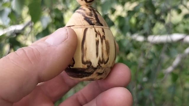 Шкатулка в августовском лесу на берёзе