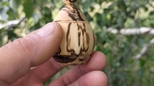 Шкатулка в августовском лесу на берёзе