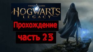 Прохождение игры Hogwarts Legacy На русском языке № 23 ( ЧТО- ТО НА ГОББЛЕДУКЕ )