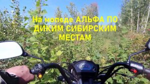 На мопеде АЛЬФА по диким сибирским местам