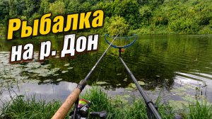 Рыбалка на фидер на реке Дон: Живописная природа и Капризы подлещика