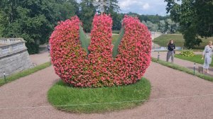 Для души,прогулка по красивому парку,август 2026г.🌺💖 Цветы, уточки, белочки!🌺