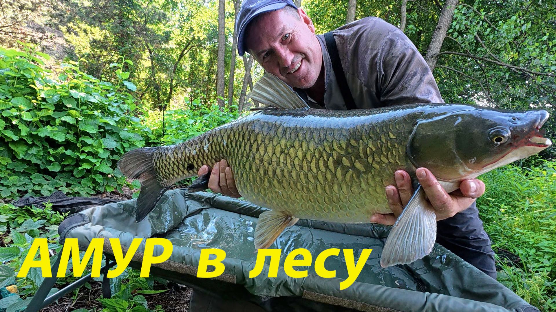Лещи, карп и два бешеных Амура на крючке! Адреналин на озере!